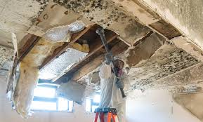 Mold Odor Removal Services in Mckinley, PA